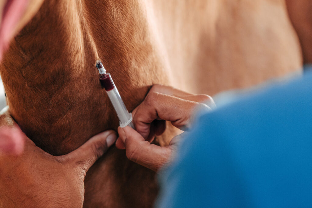 Agentes de Salud se capacitaron sobre prevención de Encefalitis Equina del Oeste