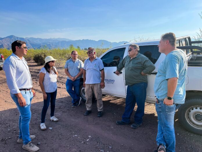 WhatsApp Image 2025-02-19 at 10.52.17