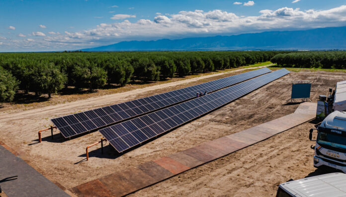 Olivas al Mundo inauguró sistema de paneles solares que optimiza la producción olivícola (1)