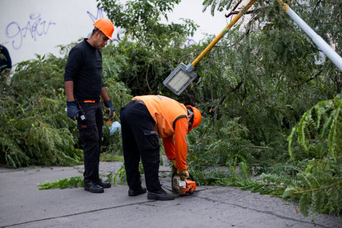 Trabajo después del temporal (3)