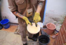 Control focal: cronograma semanal