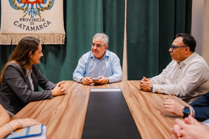 Reconstrucción del puente de Belén (2)