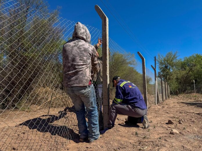 WhatsApp Image 2025-11-03 at 09.27.30