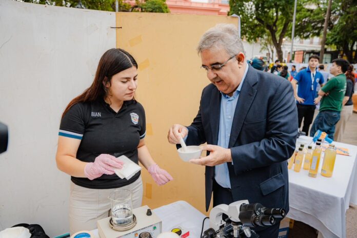 WhatsApp Image 2025-11-12 at 13.00.56