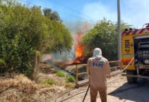Empleados municipales colaboraron para controlar un incendio forestal