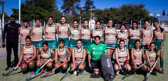 WhatsApp Image 2025-11-19 at 10.31.37