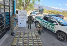 Tres mujeres ocultaron 65 kilos de marihuana entre mochilas infantiles