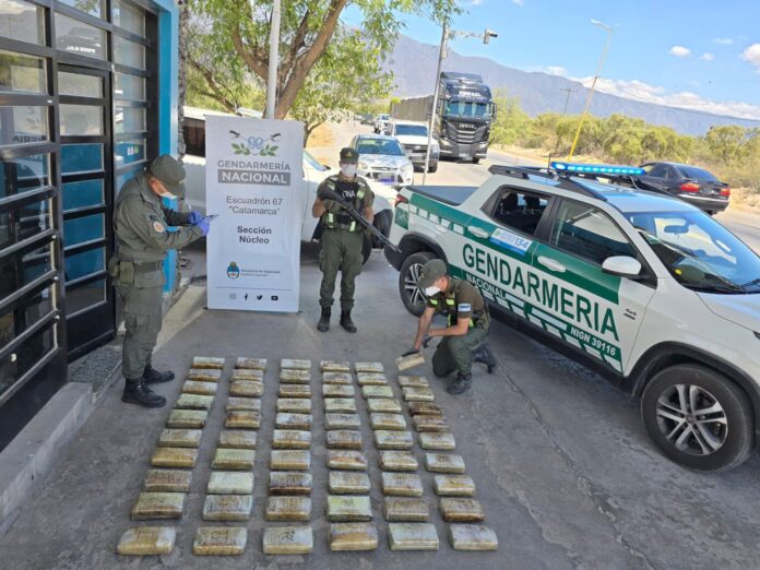65 kilos de marihuana entre mochilas escolares infantiles - Catamarca