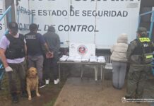 Detienen a dos personas y secuestran más de 13 kilos de marihuana en un operativo conjunto en Paclín