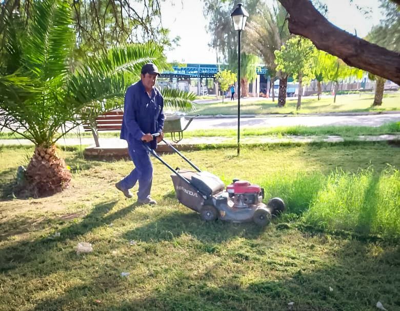 Tareas de desmalezado y poda en distintos sectores de la Ciudad