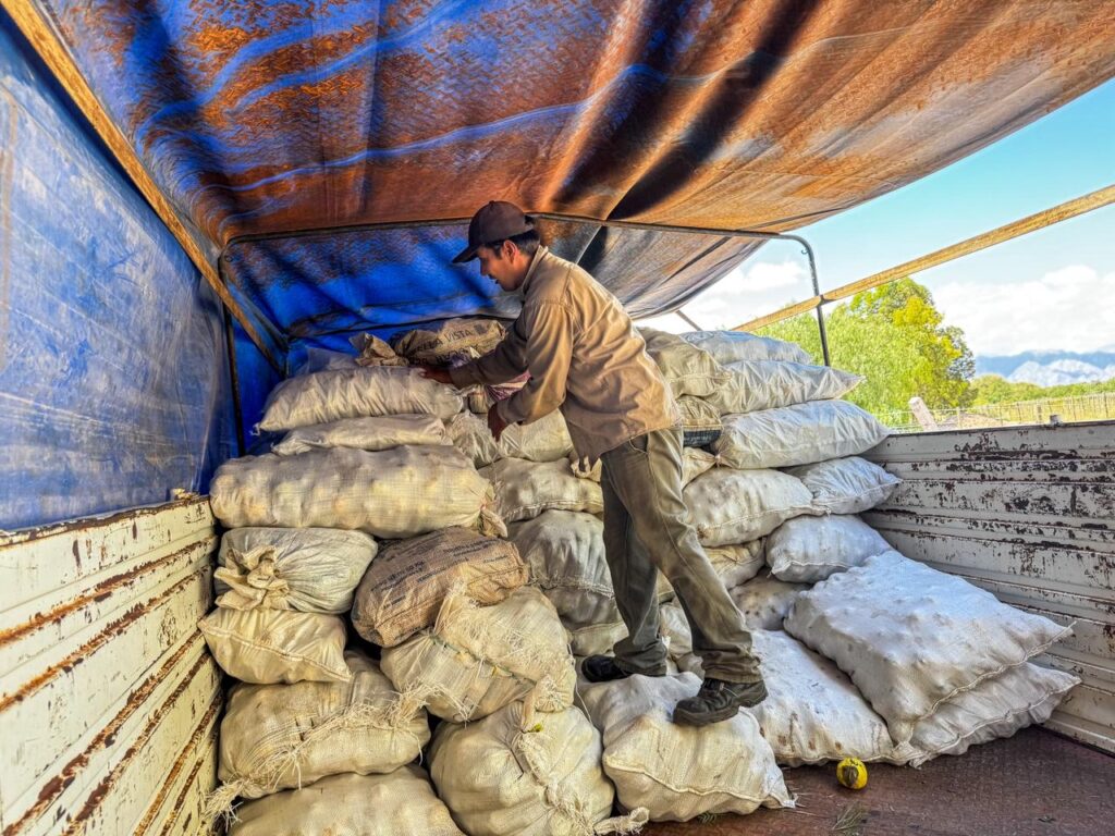 Operativo Membrillo 2026: el Municipio acompañó la comercialización de 28.000 kilos de fruta