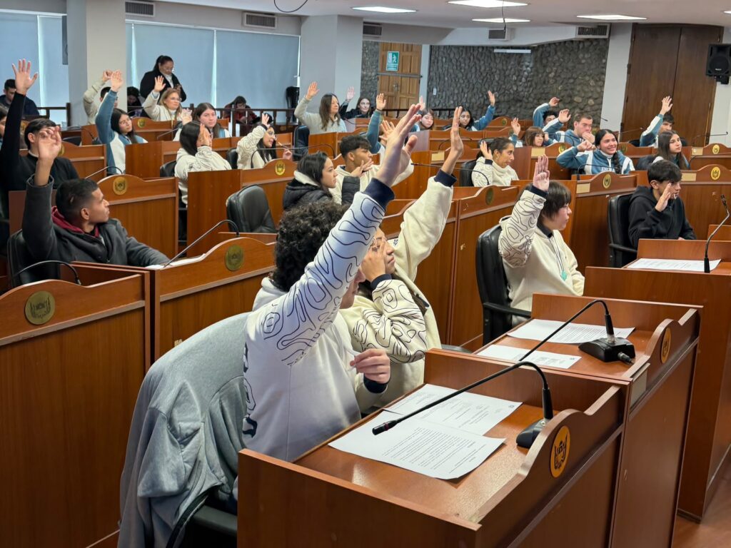 Las juventudes ganan protagonismo en la Cámara de Diputados