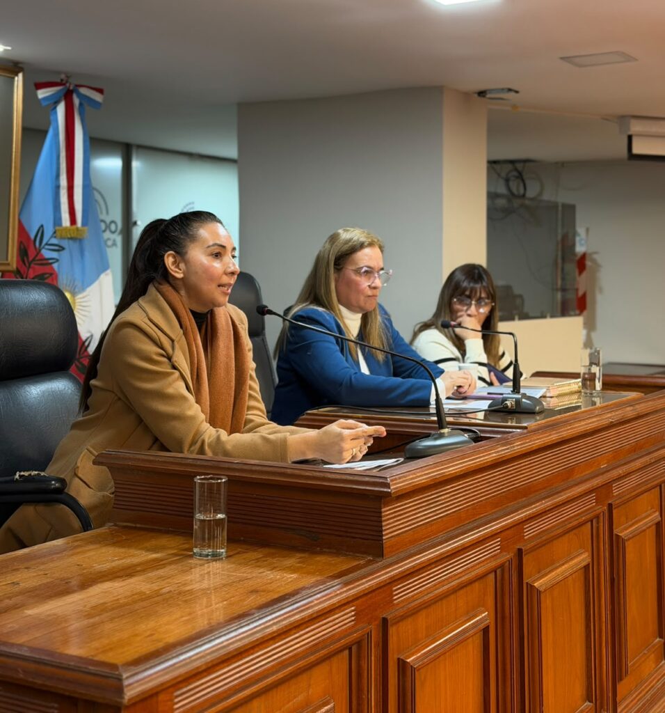 La Comisión de Salud avanzó en el análisis de proyectos para ampliar el acceso a los medicamentos