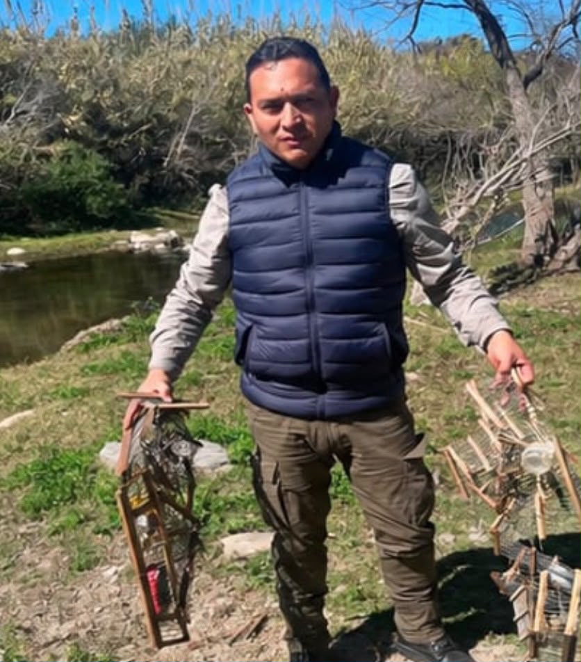 Rescataron 32 aves silvestres durante allanamientos en el norte de la Capital
