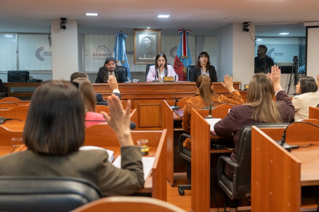 El Senado sancionó la ley de Registro de Agresores Sexuales y avanzó con la adhesión de Catamarca al régimen de Zona Franca