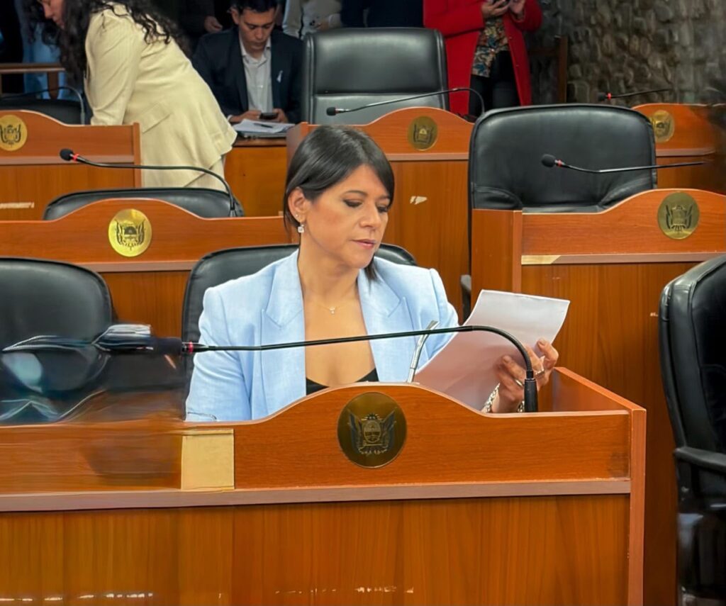 La diputada Natalia Herrera volvió a poner en agenda la crisis de salud mental